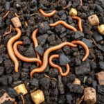 Korzyści z kompostowania odpadów organicznych w domu