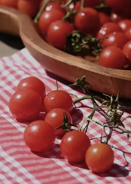 Pomidory – odmiany, sadzenie, podwiązywanie, nawożenie i choroby