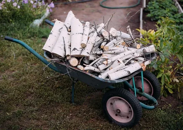 Ogród warzywny od podstaw – planowanie, zakładanie i uprawa krok po kroku